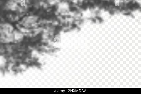 The effect of overlaying shadows. Natural light layout.Realistic shadow tropical leaves and branches on transparent checkered background. Stock Vector