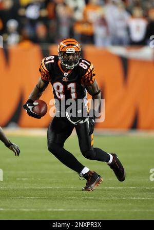 Cincinnati Bengals vs. Pittsburgh Steelers. Fans support on NFL Game.  Silhouette of supporters, big screen with two rivals in background Stock  Photo - Alamy