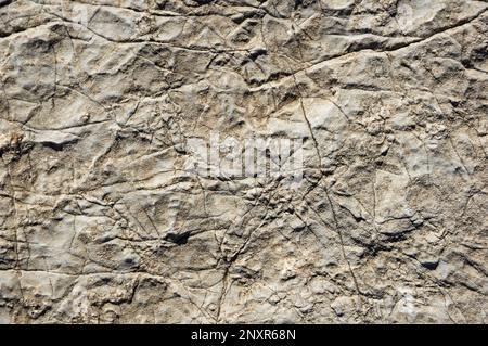 cracked and weathered gray limestone rock background texture Stock Photo
