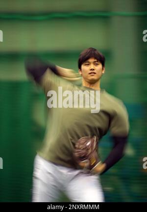 Shohei Ohtani (Angels), JANUARY 8, 2018 : Los Angeles Angels' new signing Shohei  Ohtani works out in Kamagaya, Chiba Prefecture on January 8, 2018. Credit:  Pasya/AFLO/Alamy Live News Stock Photo - Alamy