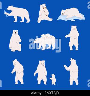 Grizzly bears flat set with isolated views of white bears with cub walking lying catching fish vector illustration Stock Vector