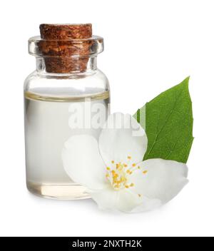 Jasmine oil. Aromatherapy with Jasmine oil and soap. Jasmine flower Stock  Photo - Alamy