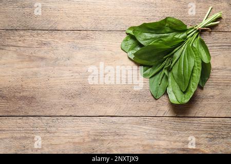 Broadleaf plantain leaves and seeds on wooden table, top view. Space for text Stock Photo