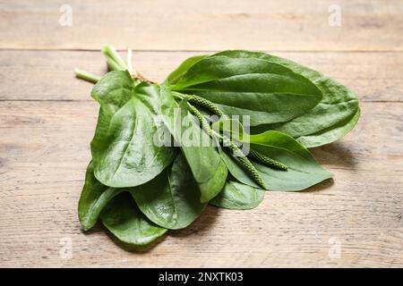 Broadleaf plantain leaves and seeds on wooden table, closeup Stock Photo