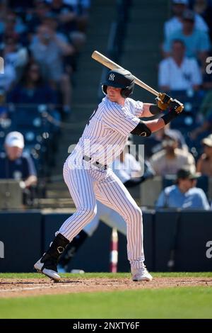 Atlanta Braves  Four Seam Images