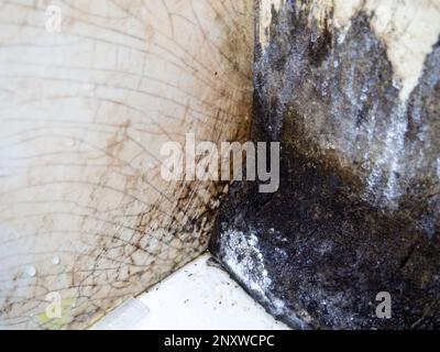 Mold in the bathroom. Black dots of mold and yellow plaque. Black mold Dirt on tiles. Requires cleaning. Before using cleaning products. Stock Photo