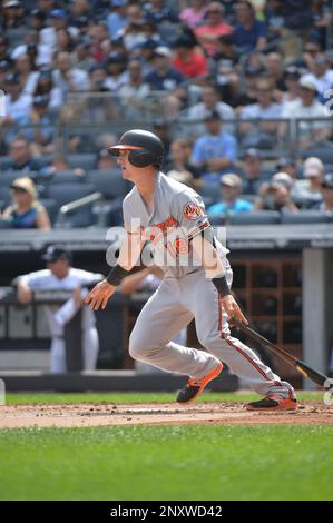 Baltimore, United States. 30th July, 2023. Baltimore Orioles' outfielder  Austin Hays (21) gets underneath a fly ball hit by Greg Allen in the top of  the fourth inning against the New York