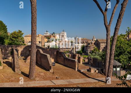 Parco archeologico del Colosseo Stock Photo