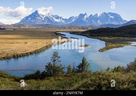 serrano-river-golden-pampas-and-snowy-mountains-of-torres-del-paine