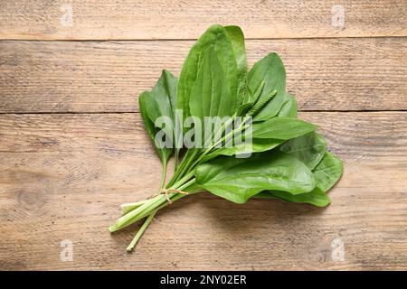 Broadleaf plantain leaves and seeds on wooden table, top view Stock Photo