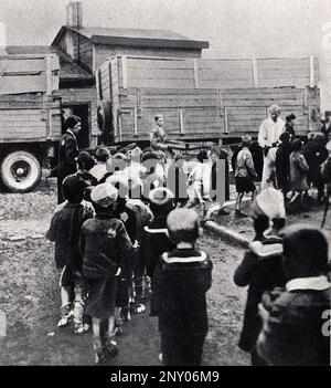 In the early stages of WW2 the Jews in nazi occupied europe were rounded up and forced into crowded ghettoes. When the decision was made to kill them all they were deported to extermination centres to be murdered. Here Lodz Ghetto children from the Marysin orphanage are lined up to be sent to Chelmno (Kulmhof) extermination camp. Stock Photo