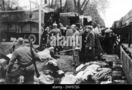 Chełmno (Kulmhof) extermination camp established during World War II by Nazi Germany on the territory of occupied Poland in the town of Chełmno near Łódź, for the purpose of killing Jews of the Łódź Ghetto and the local inhabitants of Warthegau (Reichsgau Wartheland).  Here the victims are separarted from their luggage and lined up prior to being marched to the gas chambers. Stock Photo