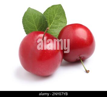 Delicious ripe cherry plums with leaves on white background Stock Photo
