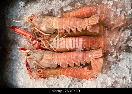 Fresh crayfish on ice Stock Photo