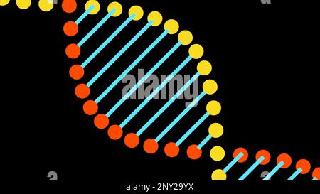 Simple animation of moving dna. Design. Beautiful rotating dna structure of lines and dots. Colorful cartoon dna rotates on black background. Stock Photo