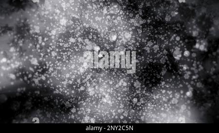 Blue and gray background with winter snowflakes Motion. Large pieces of snow flying in different directions made in 3d format. High quality 4k footage Stock Photo