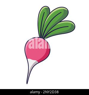 Cute Radish cartoon icon illustration. Food vegetable flat icon concept isolated Stock Vector