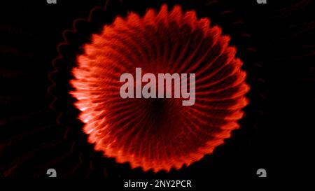 Abstract round spinning shape with blades isolated on a black background. Motion. Rotating complex figure looking like a digital flower Stock Photo