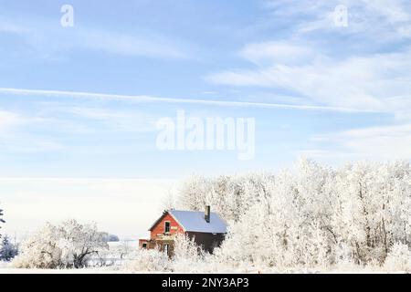 A small abandoned red brick house on the prairies nestled in white hoar frost covered trees in a rural winter landscape Stock Photo