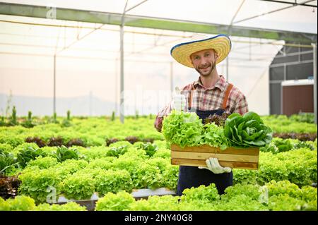 Smiling Caucasian male farmer or hydroponic farm owner with straw hat showing thumb up gesture while holding a wooden box containing a variety of orga Stock Photo