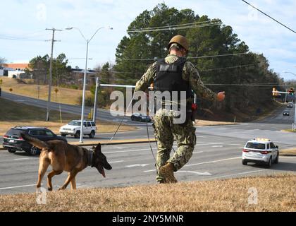 NAS PATUXENT RIVER, Maryland (Feb. 8, 2023) - Master-at Arms 3rd Class Colton Farmer and Military Working Dog (MWD) Georgina perform a perimeter sweep during a suspicious package drill during the Citadel Shield/Solid Curtain (CS/SC) Exercise 2023.     MWDs and their handlers are an integral part of Naval Security Forces, providing unique capabilities to defend bases by detecting dangerous materials. Like other highly specialized pieces of equipment, MWDs supplement and enhance the capabilities of military security forces. When integrated into existing military security forces, MWD teams enable Stock Photo