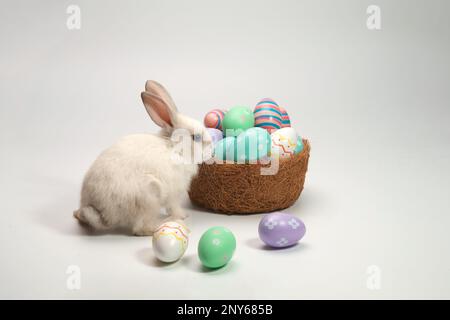 White rabbit standing near a basket with decorated eggs.Easter holiday concept. Stock Photo