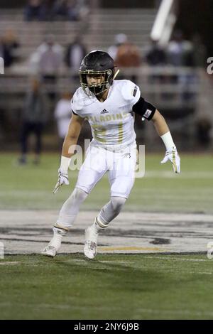 Paramus Catholic Paladins Ray Minneci #21 in action against St. Peter's ...