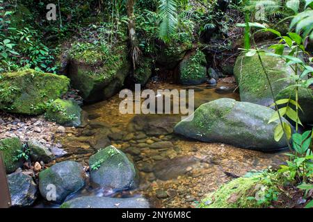 Water flowing in a stream along the Kinabalu National Park, Sabah, Malaysia Stock Photo