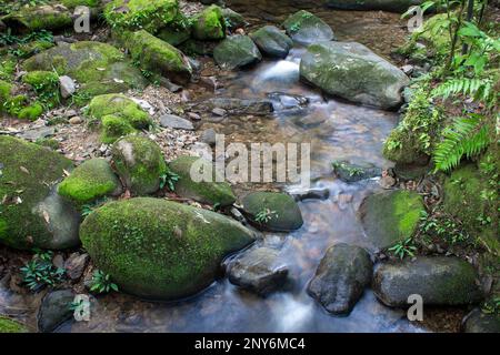 A small stream running along the Kinabalu National Park, Sabah, Malaysia Stock Photo