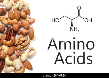 Different delicious nuts on white background, flat lay. Source of essential amino acids Stock Photo