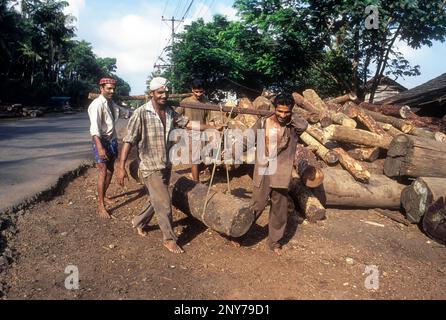 Log of wood being transported for sawing at Feroke near Kozhikode, Calicut, Kerala, India Stock Photo