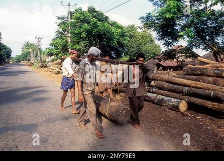 Log of wood being transported for sawing at feroke, Kerala Stock Photo