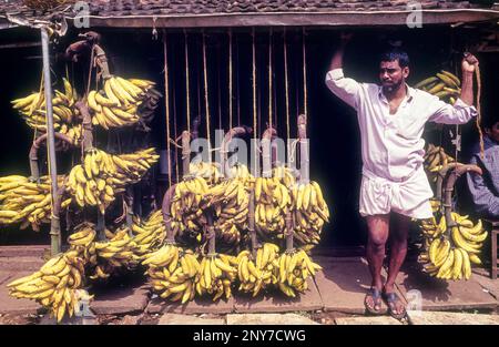 Banana shop at Tirur in Malappuram, Kerala, South India, India, Asia Stock Photo