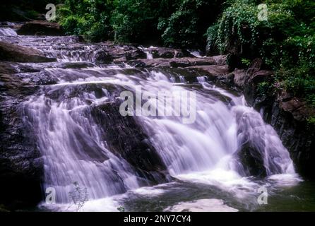 Palaruvi waterfalls at Ariankavu, Kerala, South India, India, Asia Stock Photo