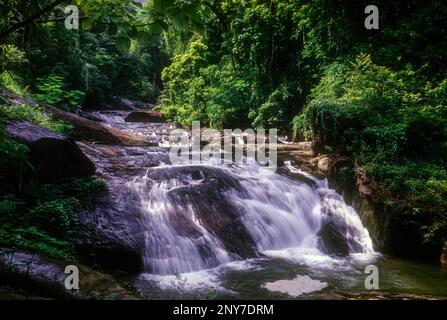 Palaruvi Waterfalls at Ariankavu, Kerala, South India, India, Asia Stock Photo
