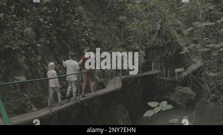 Hiking man and woman in rainforest jungle. Creative. Travelling through jungles, walking along trees on a wooden narrow path Stock Photo