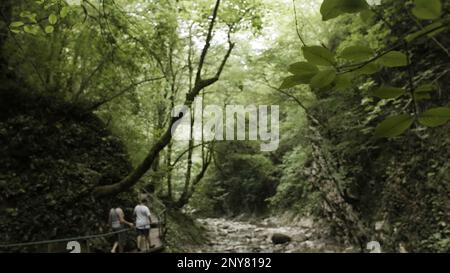 Hiking man and woman in rainforest jungle. Creative. Travelling through jungles, walking along trees on a wooden narrow path Stock Photo