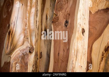 Lumber at Wilcox Timber & Lumber in Rusk, Texas, on Tuesday, Sept. 12,  2017. Wilcox Timber & Lumber is a family-owned specialty sawmill offering  quality woods like cedar, mesquite and cypress. They