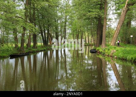 Cycling in Spreewald, Harbour Raddusch Stock Photo