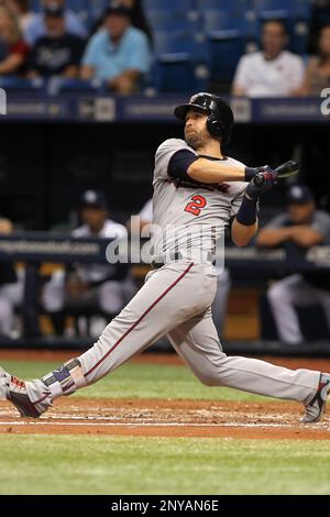 St. Petersburg, FL. USA; Tampa Bay Rays third baseman Isaac Paredes (17)  fields a ball hit to the infield and throws to first for the out during a  ma Stock Photo - Alamy