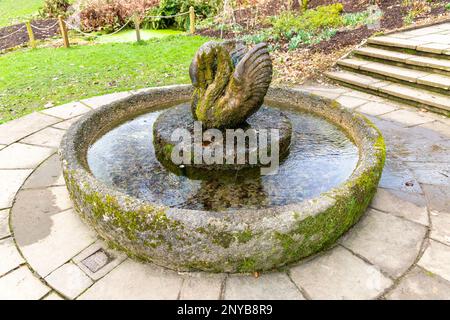 'Swan Fountain' sculpture by Willi Soukop 1950 in garden, Dartington Hall estate gardens, south Devon, England, UK Stock Photo