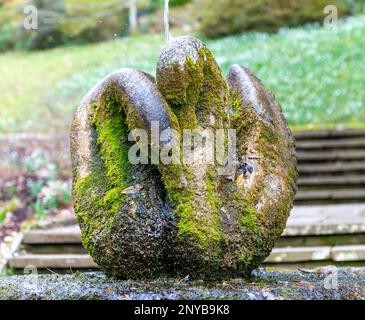 'Swan Fountain' sculpture by Willi Soukop 1950 in garden, Dartington Hall estate gardens, south Devon, England, UK Stock Photo