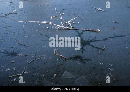 Frozen water and snow-covered stick close-up in winter Stock Photo