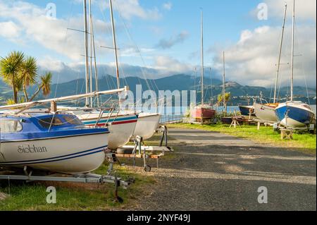 Small marina during sunset at Otago Harbour east of Dunedin on South Island, New Zealand Stock Photo