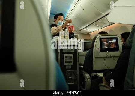 Air steward providing in-flight service on a commercial airliner Stock Photo