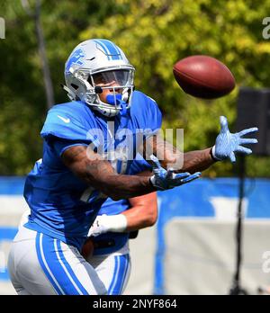 Detroit Lions rookie wide receiver Roy Williams hauls in the ball in front  of receivers coach Kevin Higgins during his first day of training camp  Monday, Aug. 2, 2004, in Allen Park