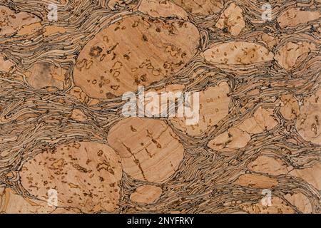 Abstract background of cork surface with natural chaotic texture in light brown color Stock Photo