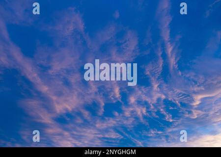 Altocumulus cloud formation, UK. Stock Photo