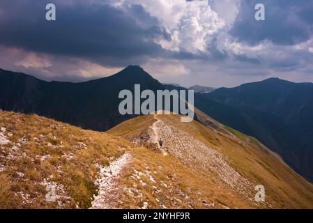 Summer mountain landscape, beautiful nature in Italy Stock Photo