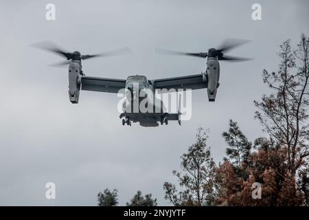 A U.S. Marine Corps MV-22B Osprey with Marine Medium Tiltrotor Squadron 265 prepares to land during a field training exercise at Landing Zone Swallow, Okinawa, Japan, Jan. 24, 2023. The purpose of the exercise was to simulate real-world scenarios in a contested environment as well as train in experimental embarkation operations as proof of concept for Force Design 2030. Stock Photo